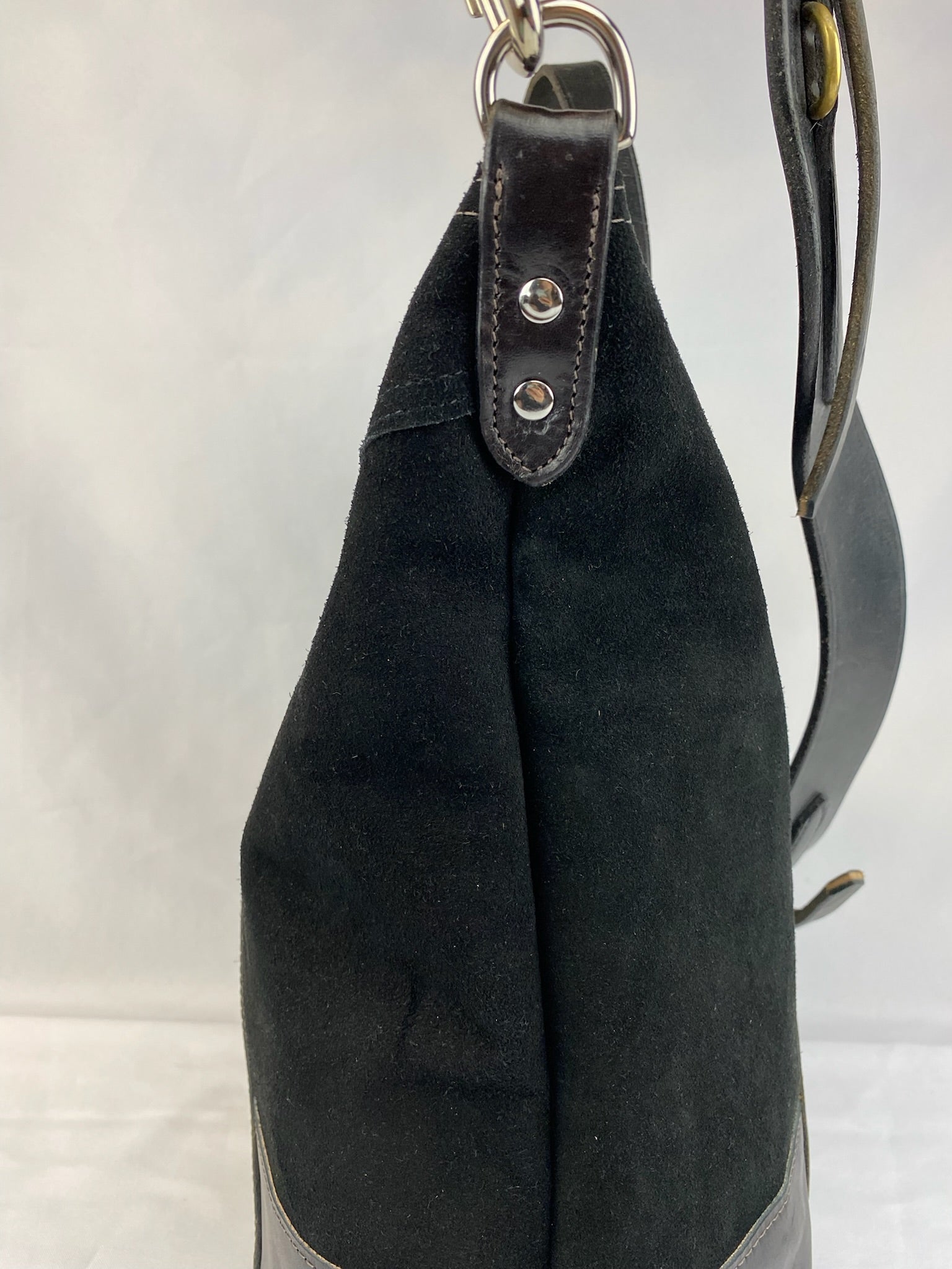 Clydesdale - Black HOH w/ Brand